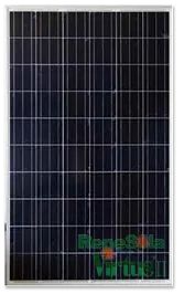 ReneSola 370 Watt Solar Panels 1