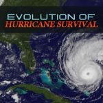 Evolution of Hurricane Survival