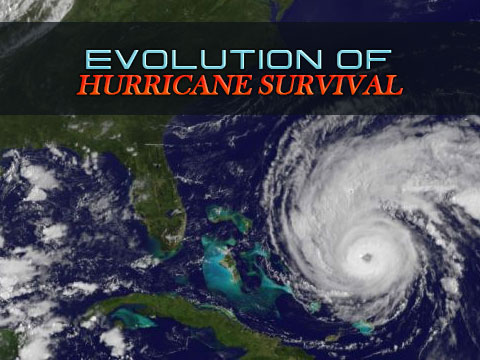 Evolution of Hurricane Survival