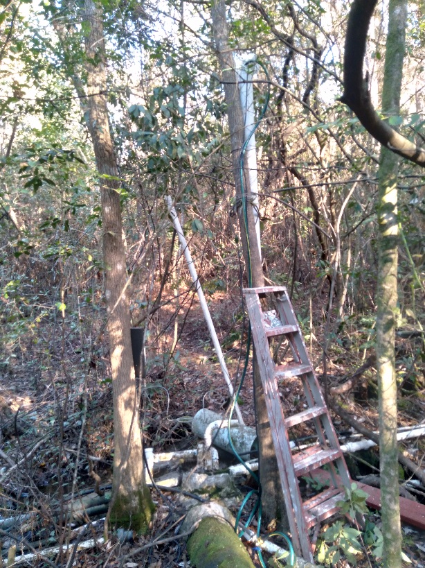 A ladder and pipes in the woods