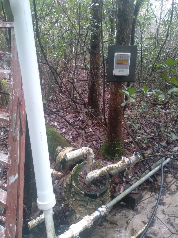 Standpipe and control box in the forest.